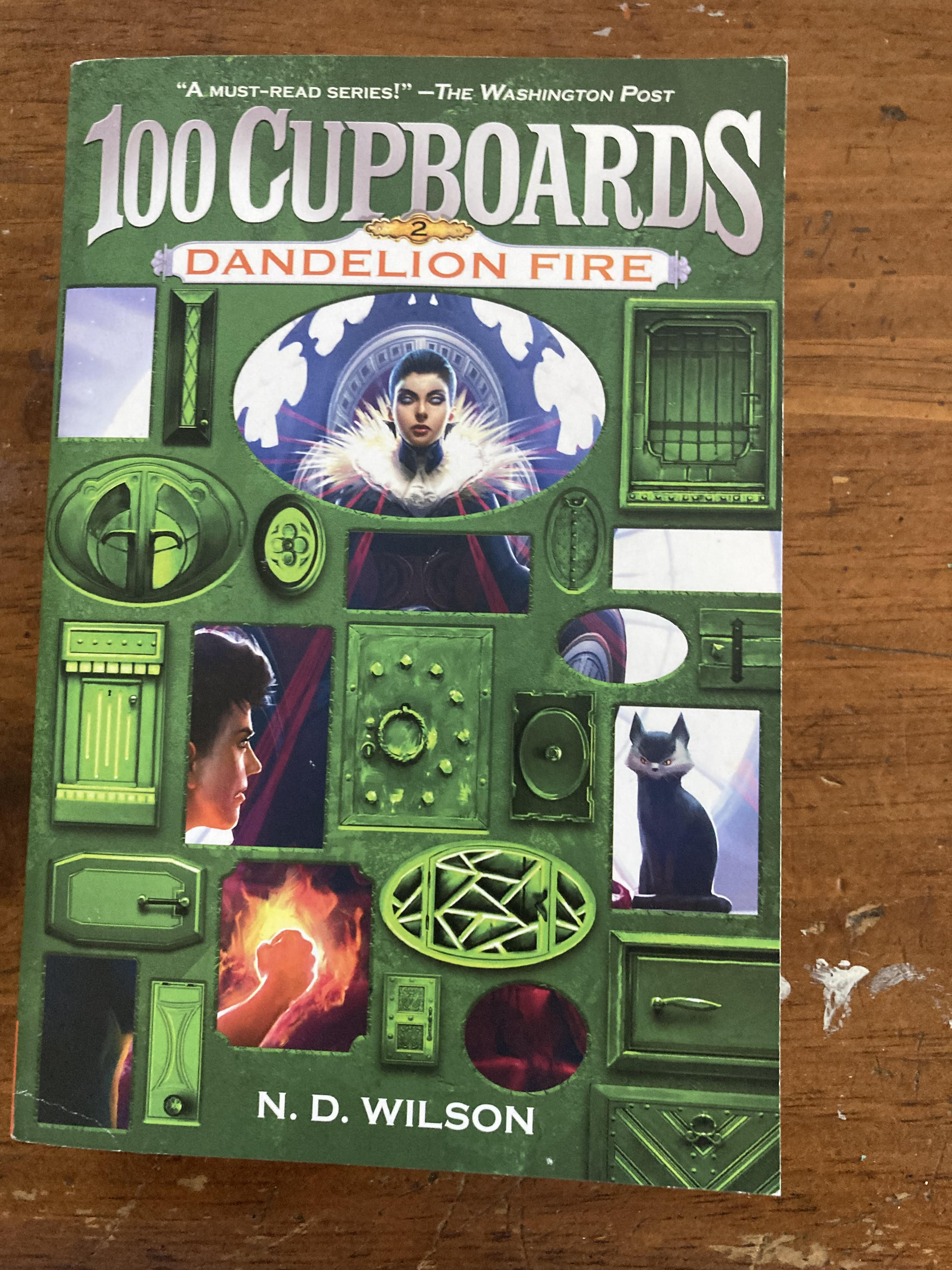 this is a picture of a book called Dandylion Fire